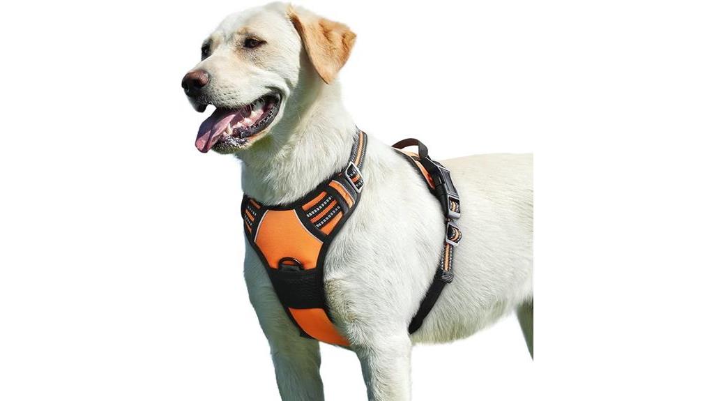 large dog harness designed