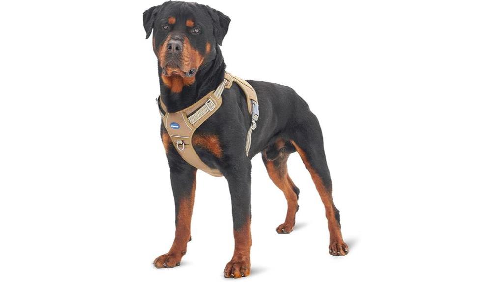 large dog tactical harness